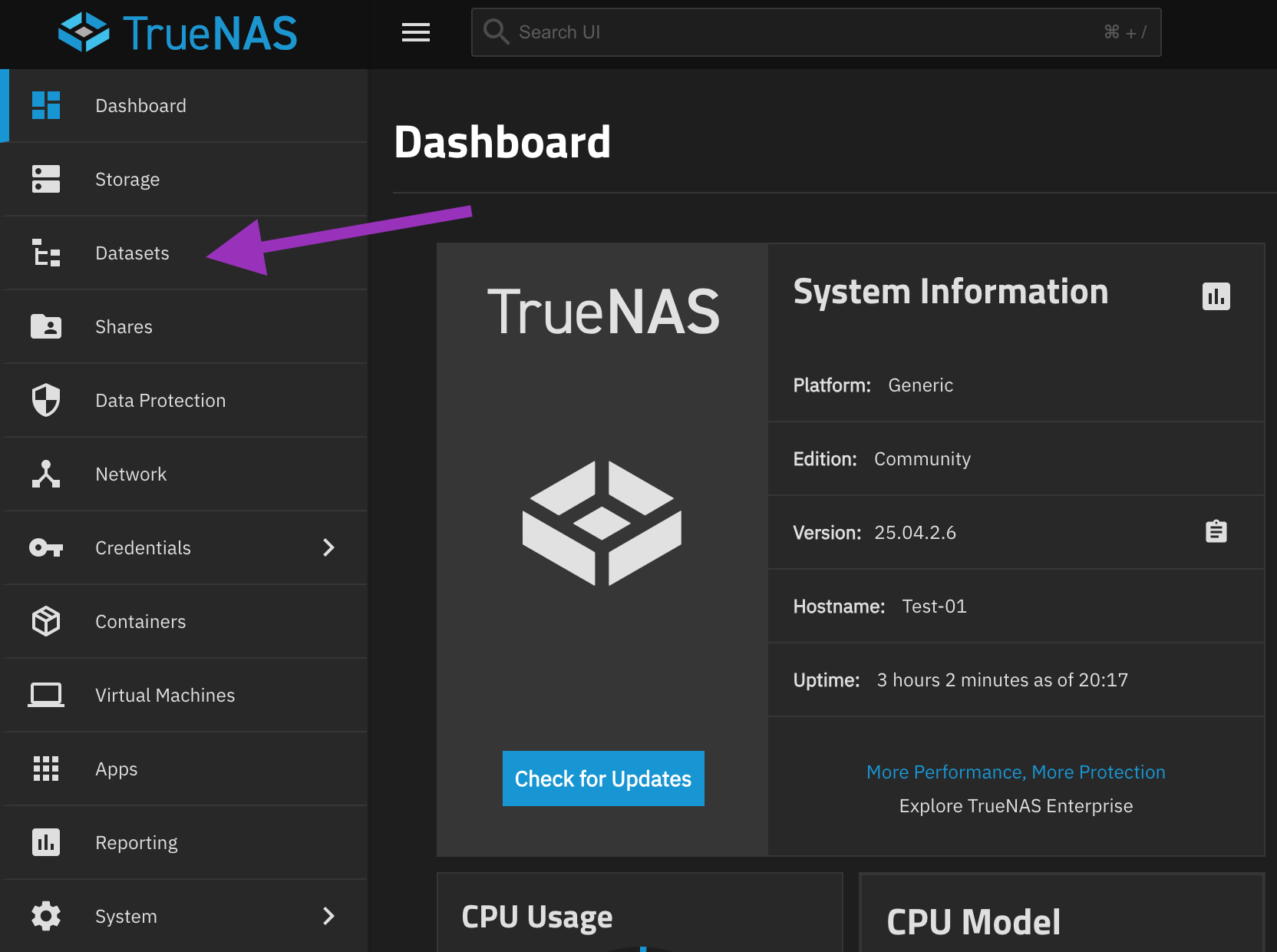 Select Datasets in the left sidebar