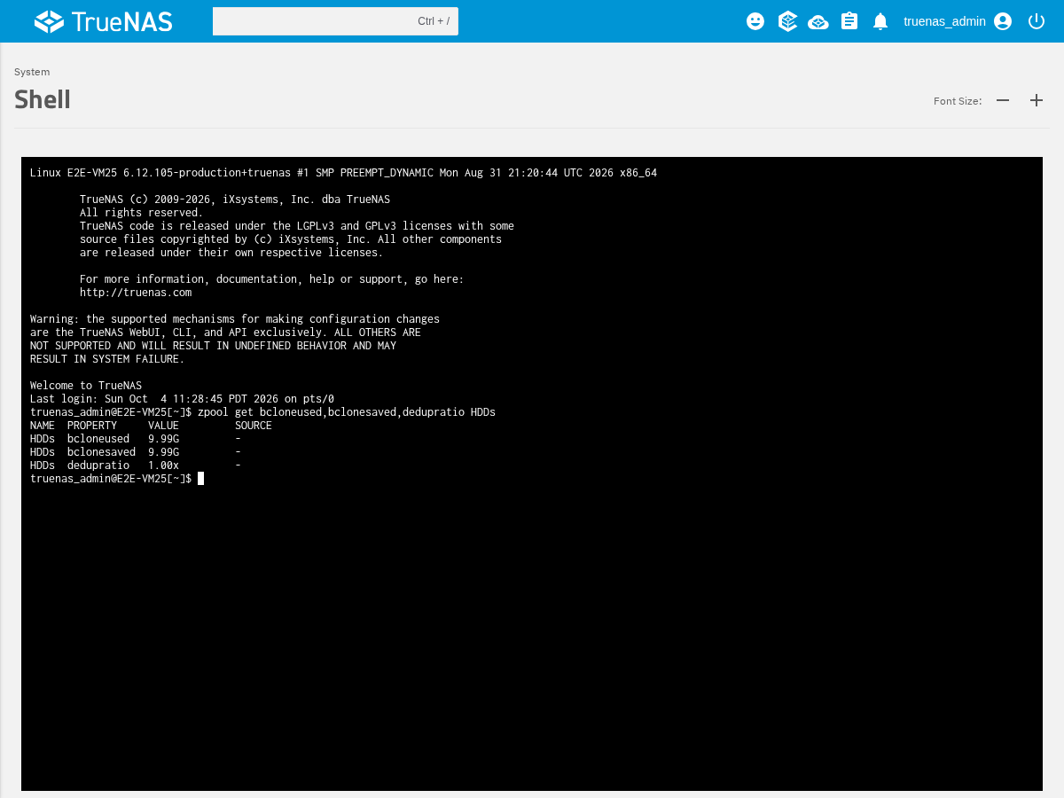 truenas-shell-shared-copies.png
