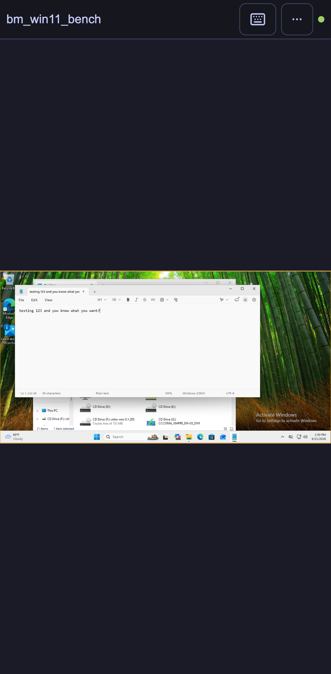 vms-console-on-a-phone